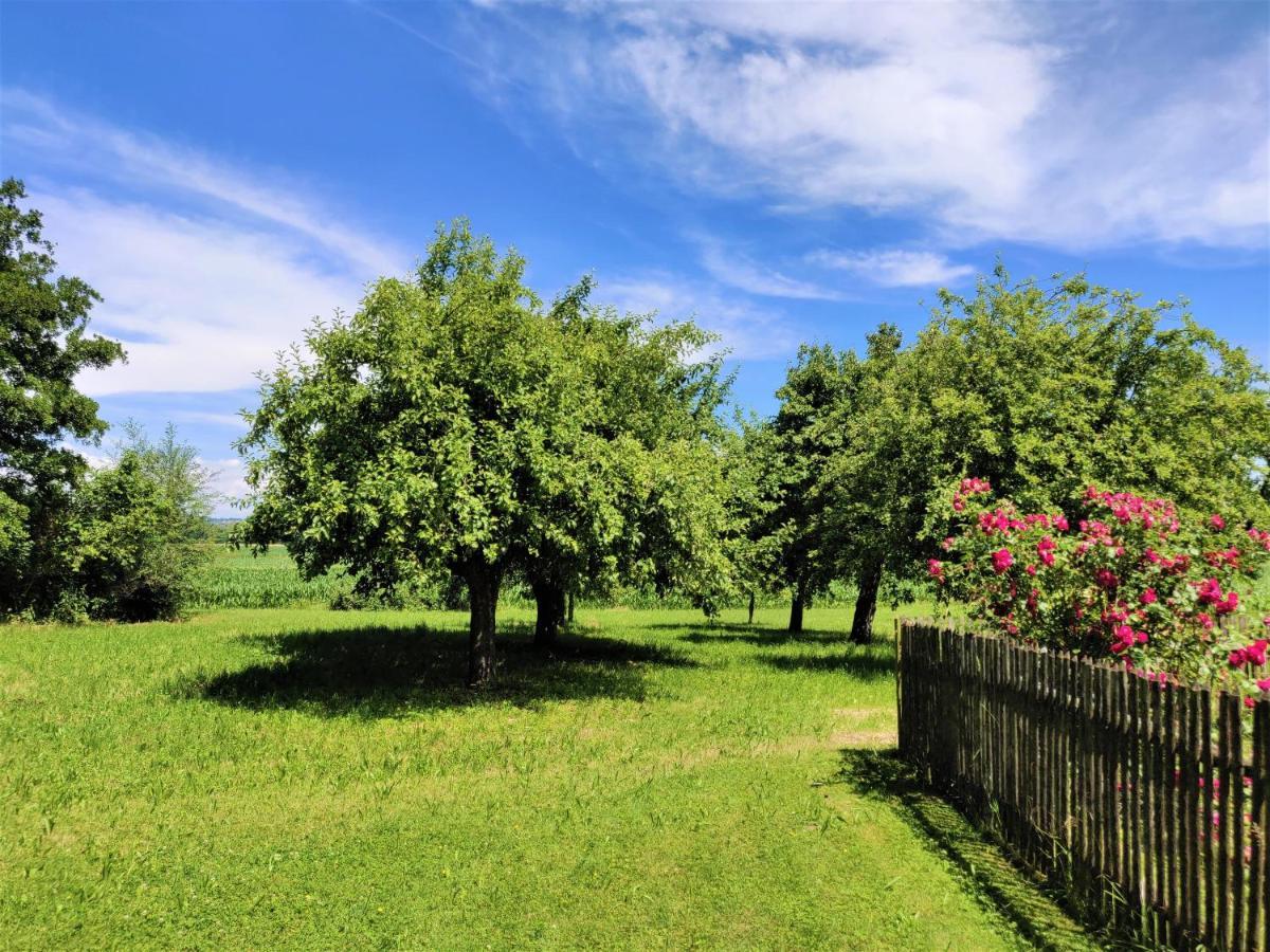 Pension Margaretenhof Bayerbach ภายนอก รูปภาพ