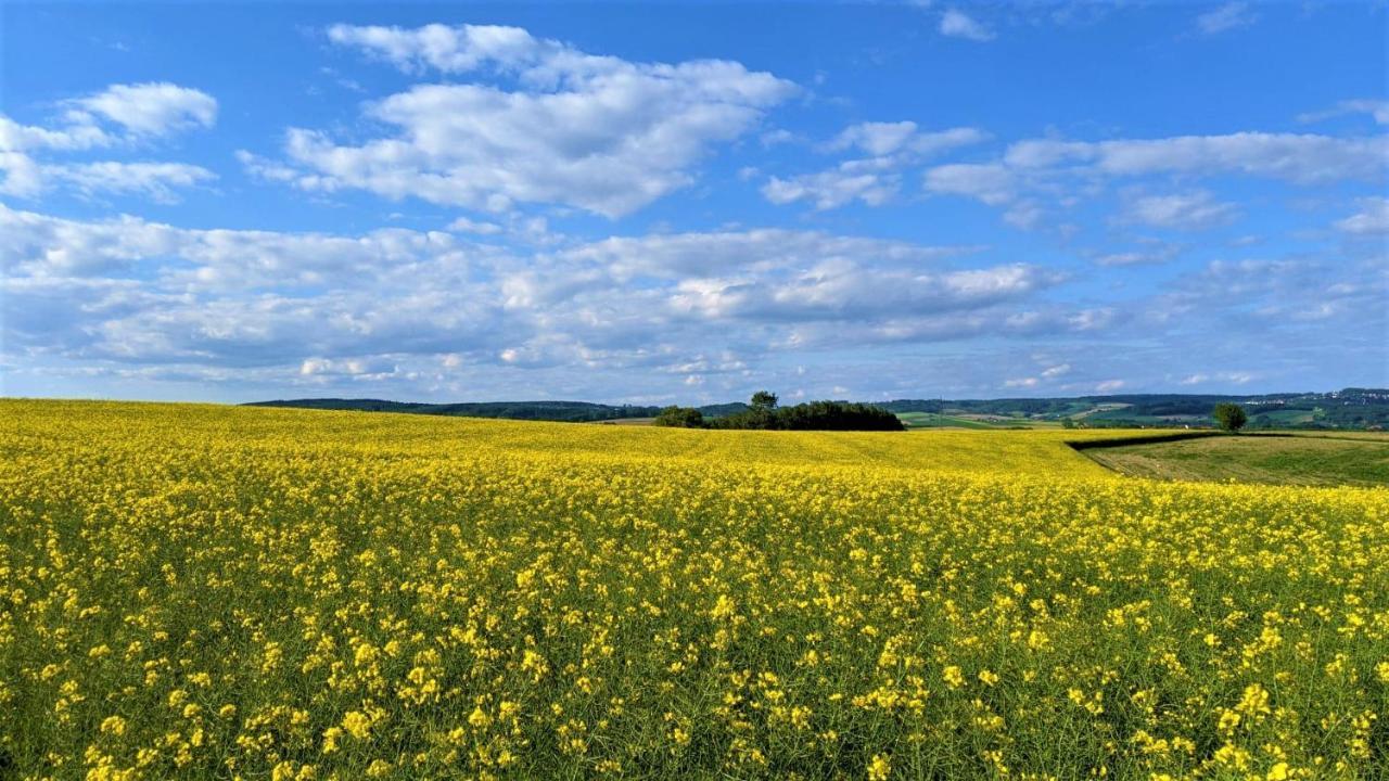 Pension Margaretenhof Bayerbach ภายนอก รูปภาพ