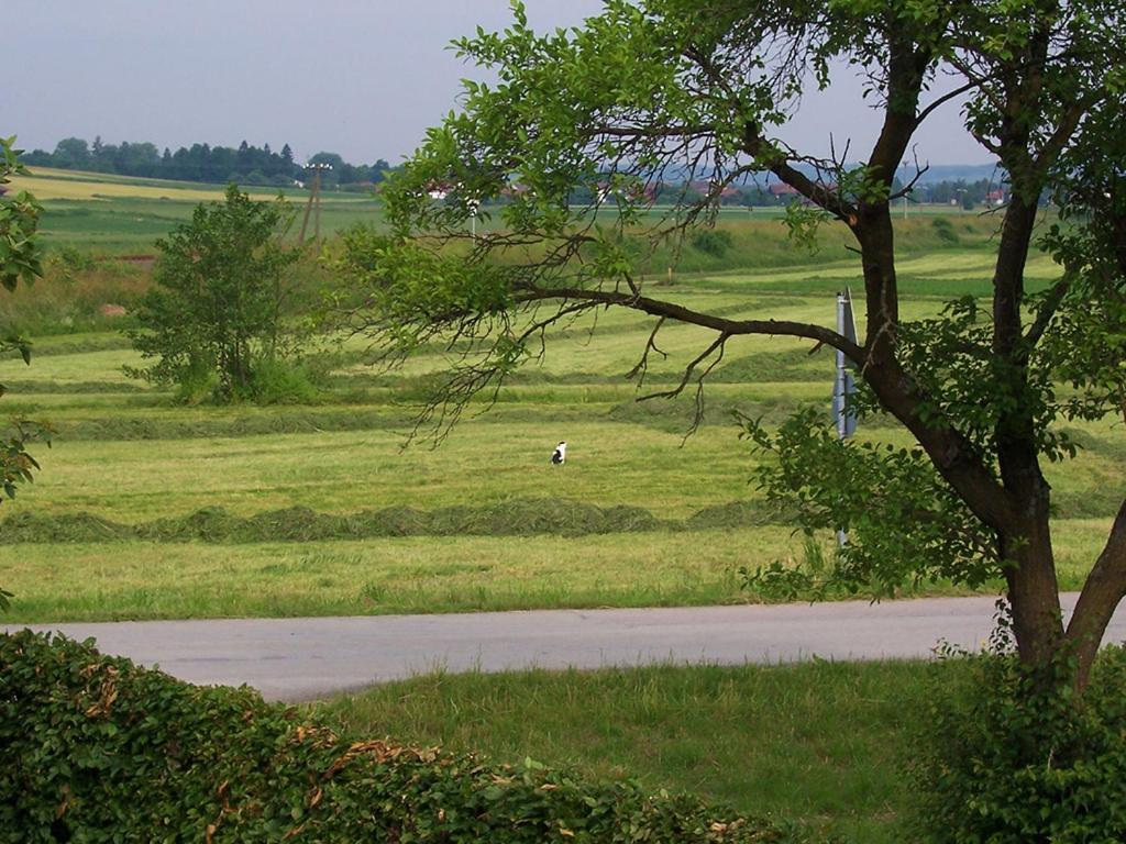 Pension Margaretenhof Bayerbach ภายนอก รูปภาพ
